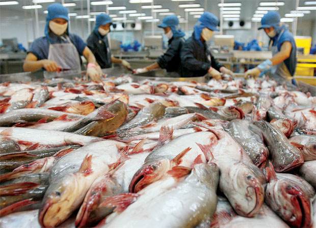 Nghị định 67/2014/NĐ-CP về một số chính sách phát triển thủy sản